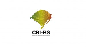 Read more about the article Central dos Registradores de Imóveis do RS inicia atividades